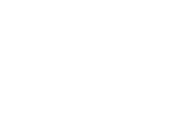 The YMCA